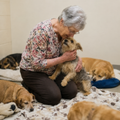 Support Our Shelter